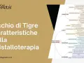 Le proprietà dell'occhio di tigre nella cristalloterapia: coraggio, equilibrio emotivo, potere personale, mente chiara, protezione e guarigione.