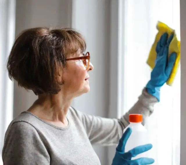 Donna con occhiali pulisce una finestra con un panno giallo e una bottiglia. Il borace cos'è? Un detergente naturale.